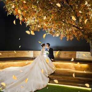 上海羽漫映画婚纱摄影 定格浪漫时光的艺术殿堂