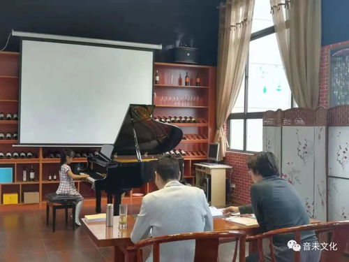 2018年度音乐类考级圆满落幕 艺术教育的里程碑与文化交流新契机